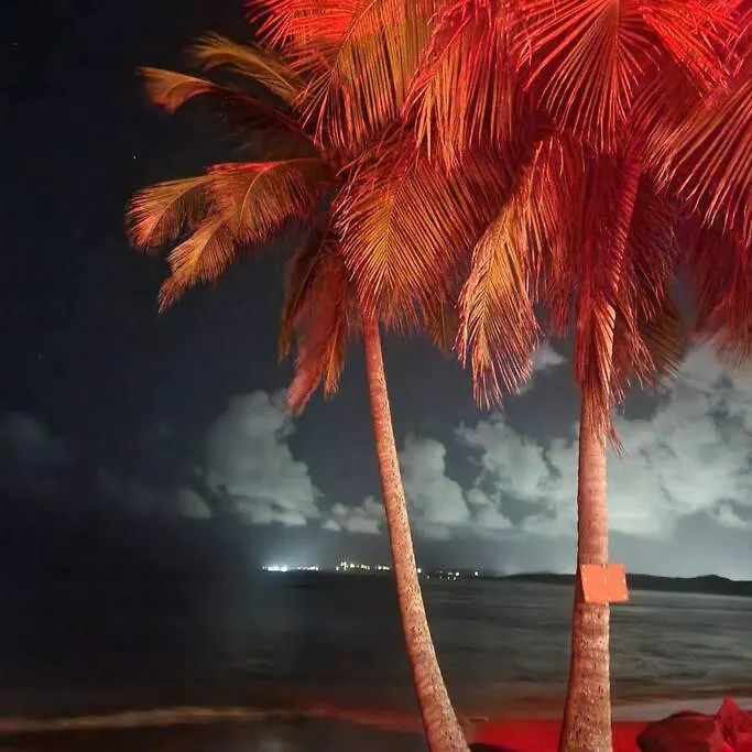 Casa vacanze Sweet Caribbean Home Luquillo