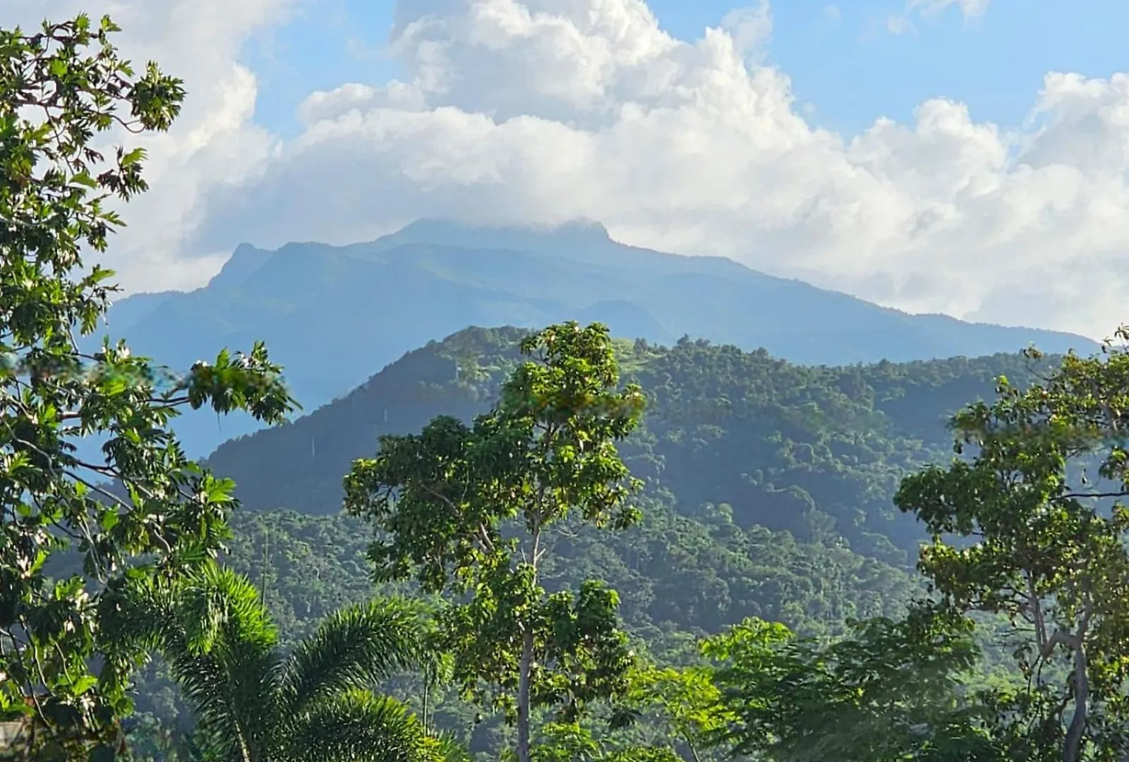Sweet Caribbean Home لوكويللو 0*,